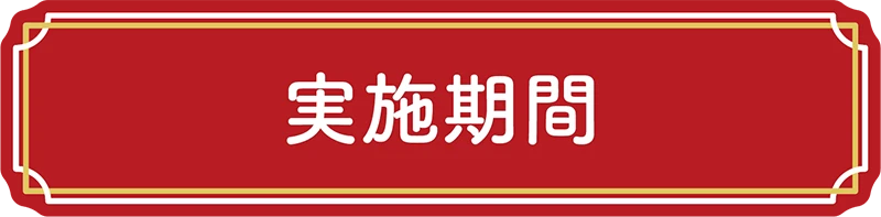 実施期間